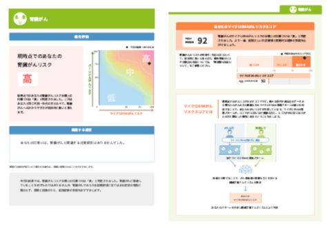 結果報告書